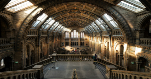 Musées